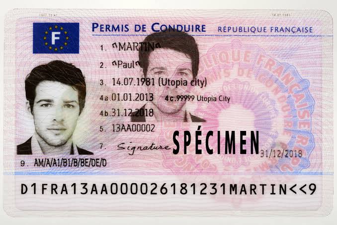 Permis De Conduire Français